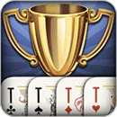 Подкидной Дурак - Чемпионат