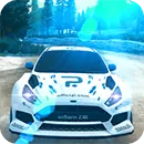 Rally Racer Dirt