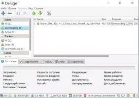 Deluge Скриншот 2