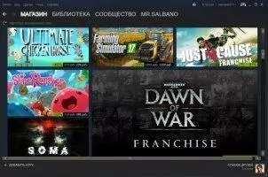 Steam Скриншот 1