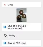 JPEG-PNG Image File Converter Скриншот 3
