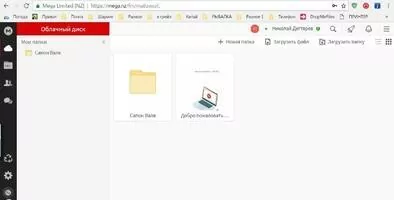 MEGA Скриншот 2