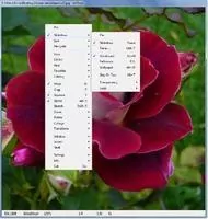 ArtSage Скриншот 2