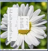 ArtSage Скриншот 5