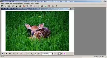 FreeVimager Скриншот 1