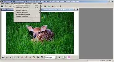 FreeVimager Скриншот 5