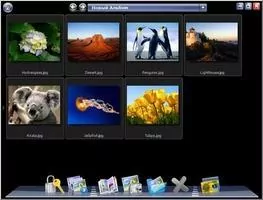 PicaSafe Скриншот 4