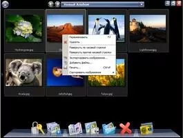 PicaSafe Скриншот 6
