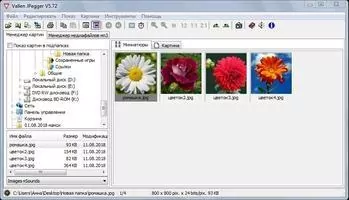 Vallen Jpegger Скриншот 1