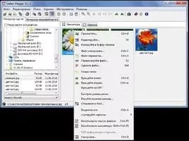 Vallen Jpegger Скриншот 2