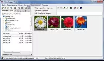 Vallen Jpegger Скриншот 5