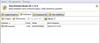 Webmoney Keeper WinPro Скриншот 1