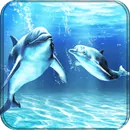 Дельфины живые обои