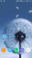 Одуванчик живые обои Скриншот 3
