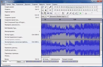 Audacity Image 8