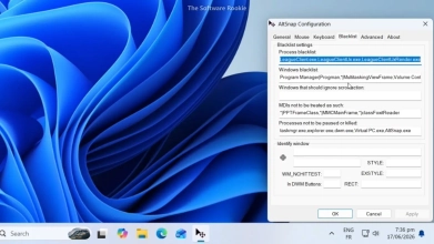 AltSnap Image 2