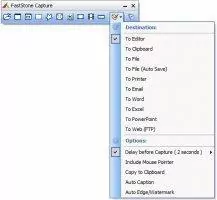 FastStone Capture Скриншот 1