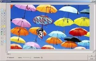 FastStone Capture Скриншот 4