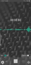 WavePad Audio Editor Скриншот 7
