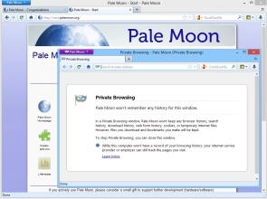 Pale Moon Image 4