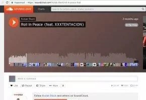 SaveFrom.NET Скриншот 6