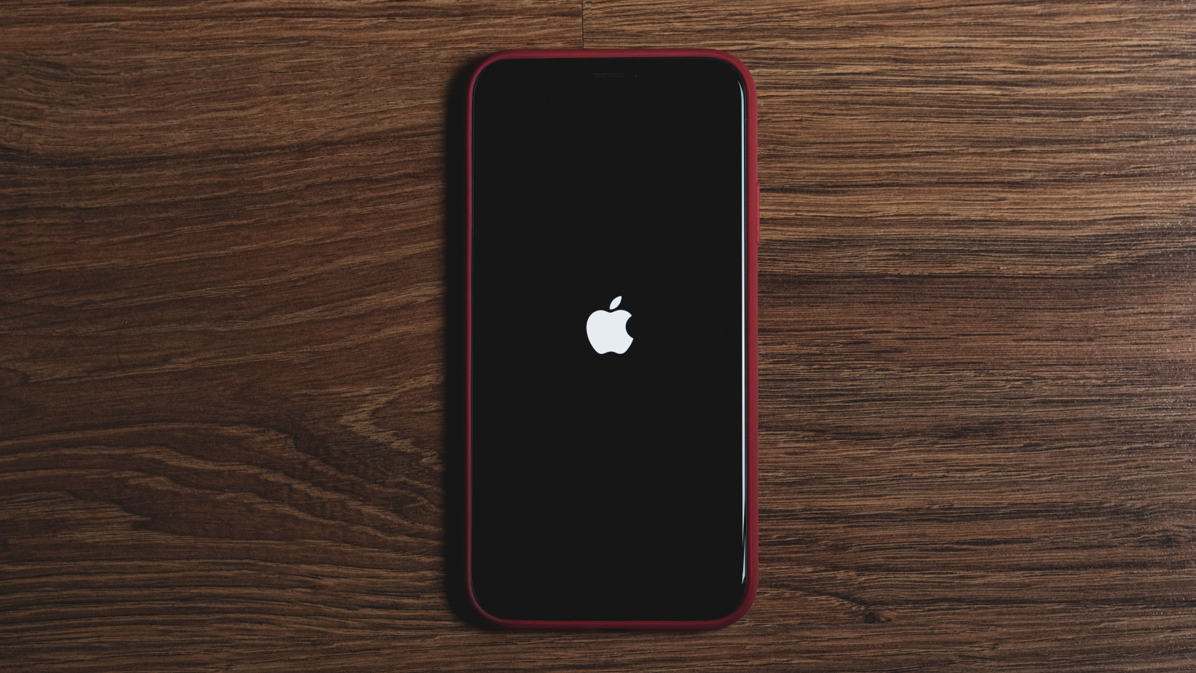 iFixit вскрыла iPhone Duo: ремонтопригодность 5 из 10