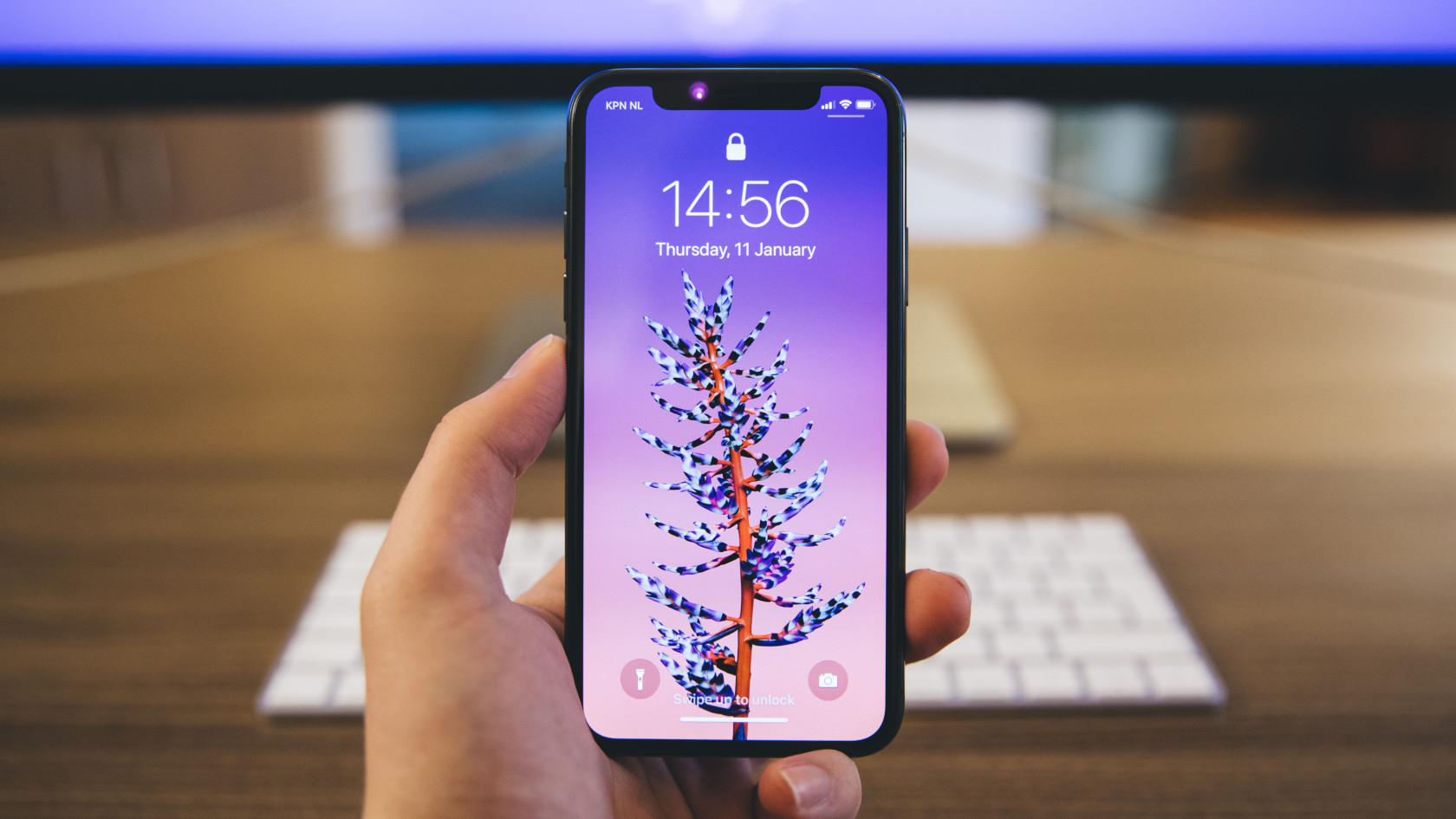 Apple ищет способ освободить место в Safari на внешнем экране iPhone Duo