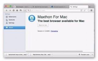 Maxthon Скриншот 8