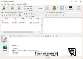 CoffeeCup Free FTP Скриншот 9